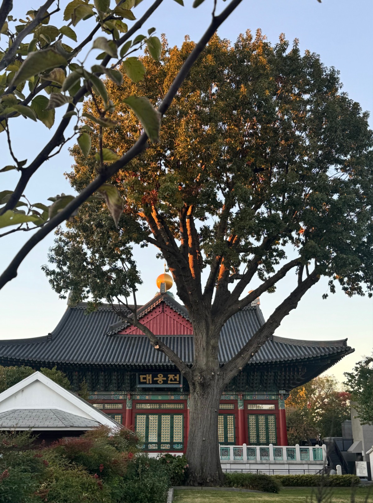 KakaoTalk_20261023_155240053.jpg